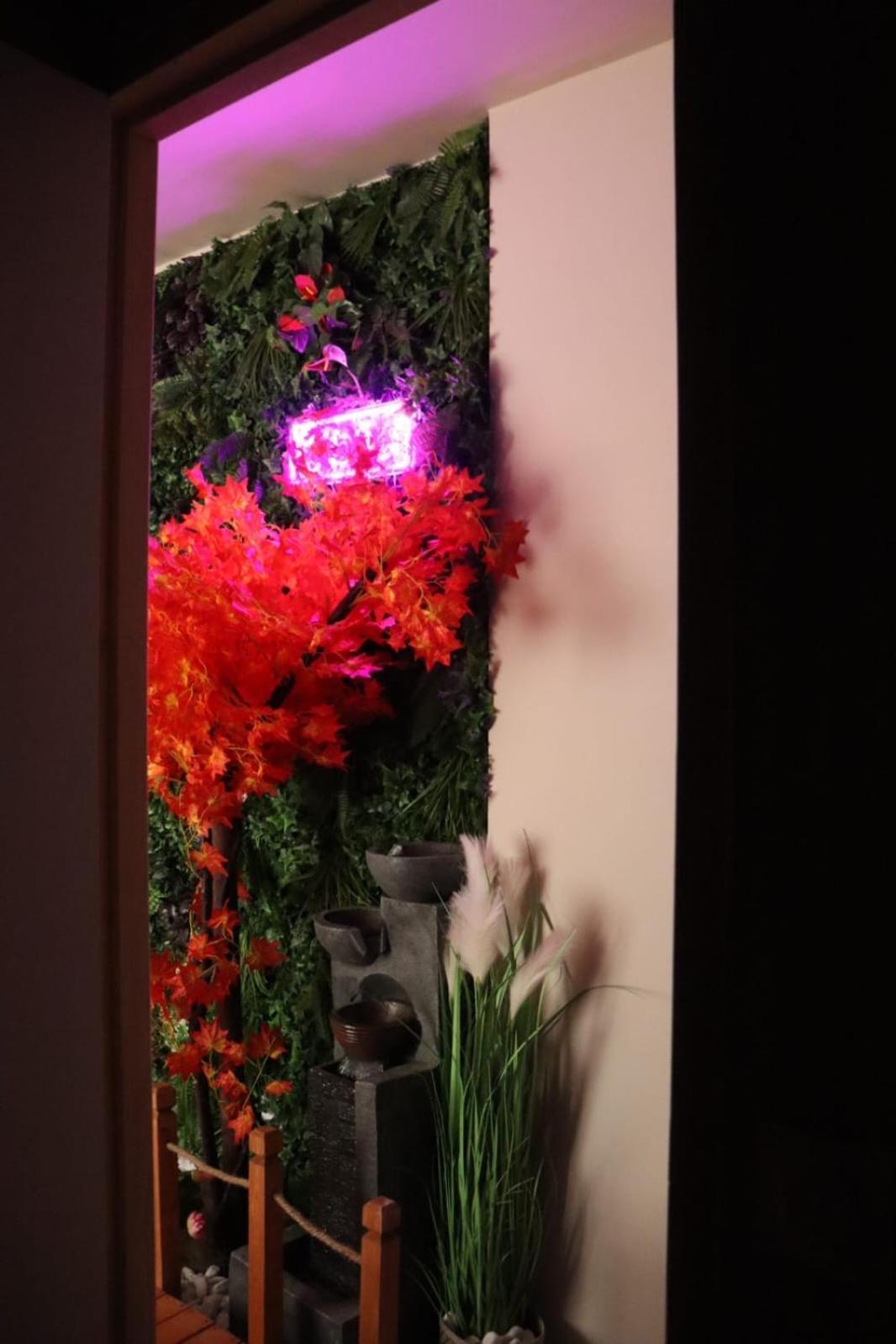 Loveroom Japon Avec Balneotherapie Toulon Buitenkant foto